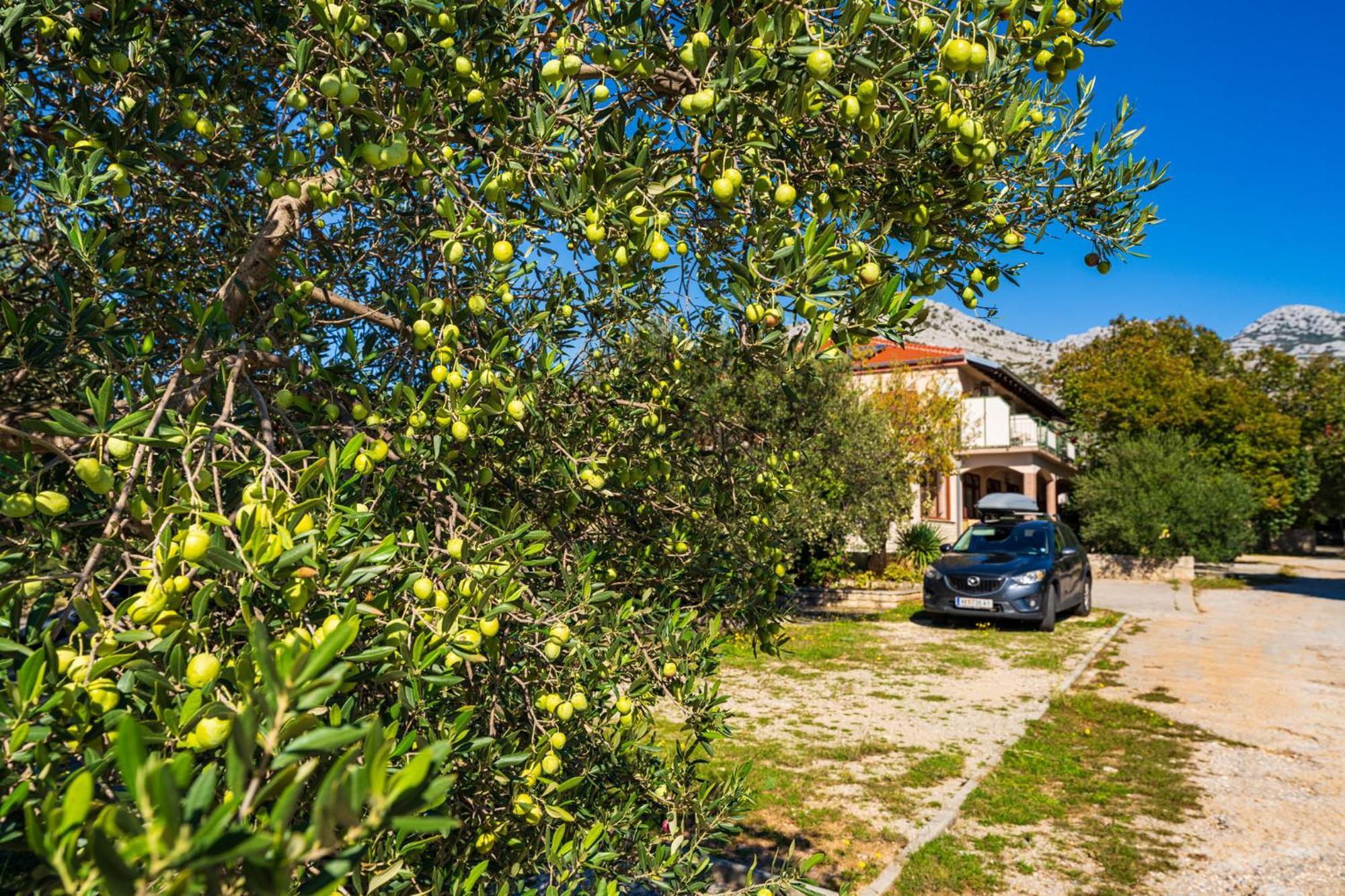 Apartments Adriana Starigrad Paklenica Esterno foto
